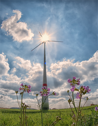 Windrad von unten fotografiert. Davor Wildblumen.